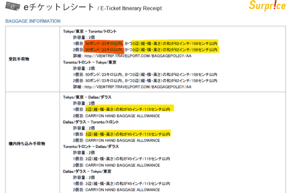 BAGGAGE INFORMATION(American)